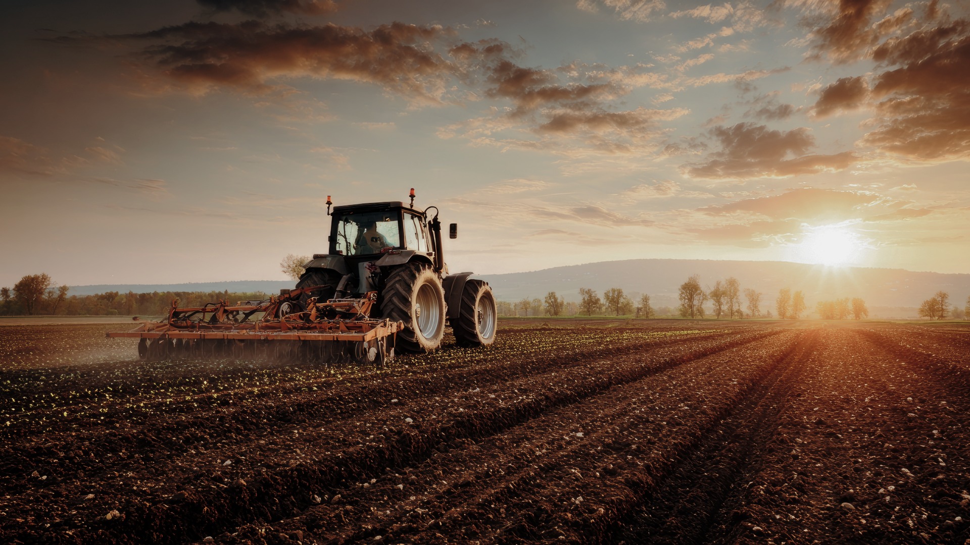 INDUSTRIA AGRÍCOLA